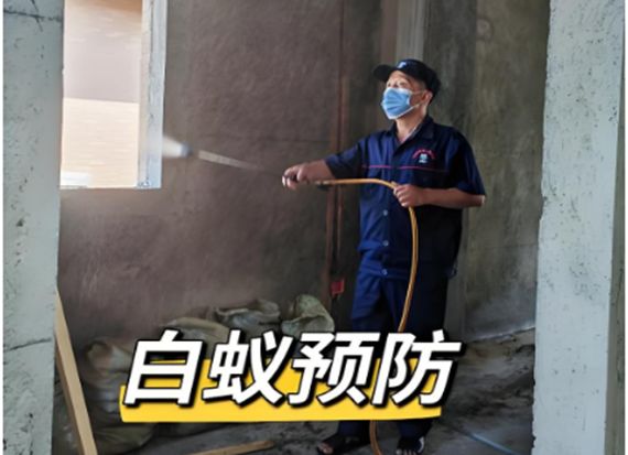 九游体育-长沙白蚁消杀治理长沙白蚁防治中心上门服务电话 附近灭